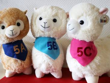 Lernen fürs Leben: Agplus Clip 4e15aa21