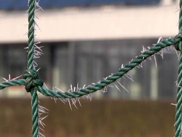 Flüchtlinge in Neustadt: Asyl Nec B8a5ba0b