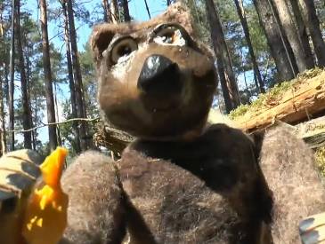 Aufruhr im Wald: Aufruhr Clip E9144c0c