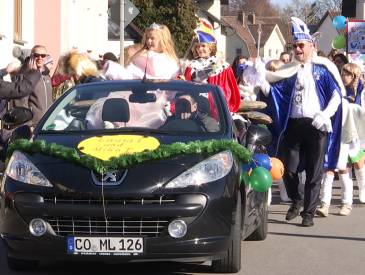 Narren in Wildenheid: Fasching Clip A52405dd