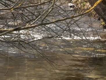 Warten auf die Lösung: Hochwasser Clip 9a23f654