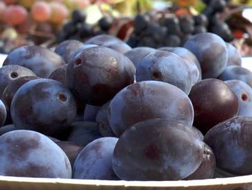 Herbstliche Naschereien: Obstgarten Lra 010e141e