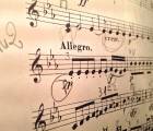Csm Violin 1085606 494c53ba16 A53096a6