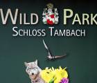 Walpurgistag: Fasching Wildpark 52d2958c