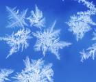 Concert for Kids: Frost Vh B507d4aa