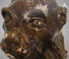 Gut gesalzen!: Gut Gesalzen 3d9f0db6