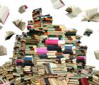 Literatur im Duett: Literatur Duett 45de138f