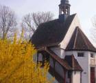Frühlingskonzert: St Nikolauskapelle A7e443e4