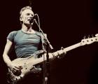 Sting: Sting Fcb93275