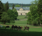 Kinderferienprogramm - WildPark Tambach: Tambach 526e7400