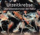 Urzeitkrebse E169c51e