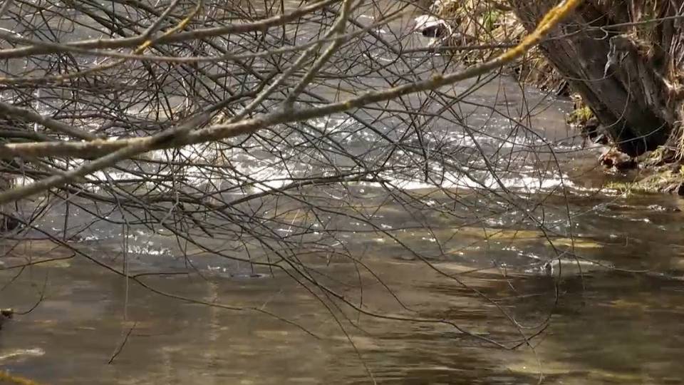 Warten auf die Lösung: Hochwasser Clip 9a23f654