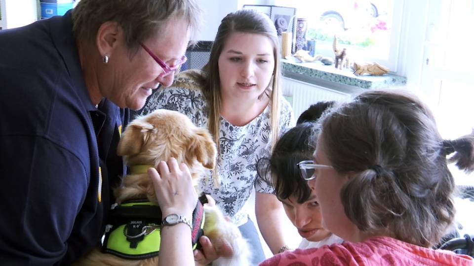 Hilfreiche Streicheleinheiten: Hunde Clip 983c6a9a