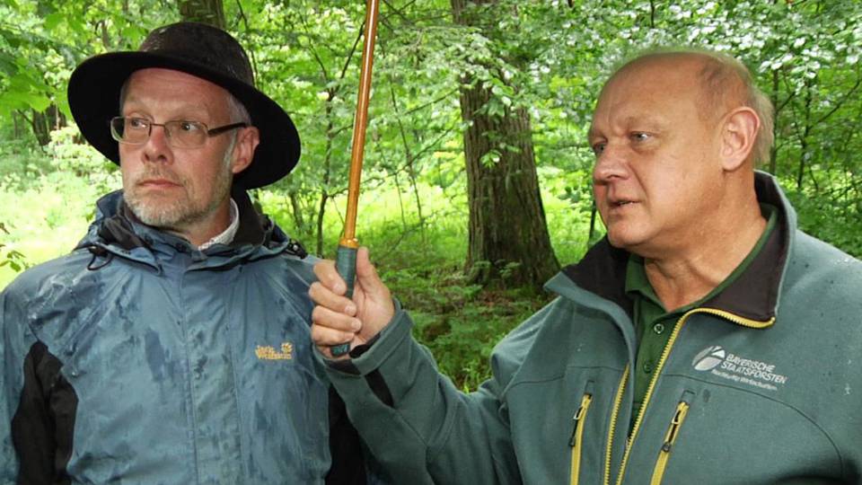 Herren der Wälder: Urwald Clip 23c02fa0