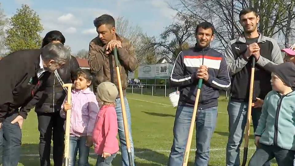 Gemeinsam Wurzeln schlagen: Wurzeln Clip 415d9bf9
