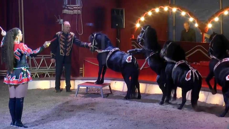 Zauber der Manege: Zirkus Talk 2d2ae961