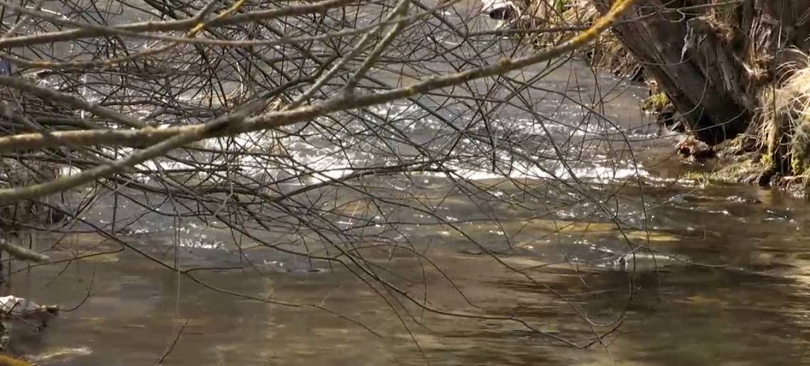 Warten auf die Lösung: Hochwasser Clip 9a23f654