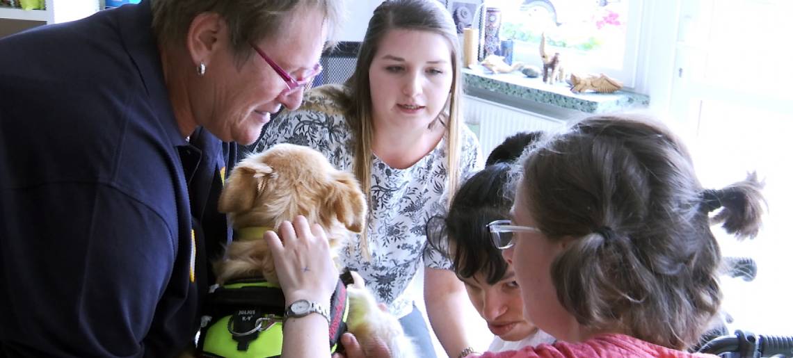 Hilfreiche Streicheleinheiten: Hunde Clip 983c6a9a