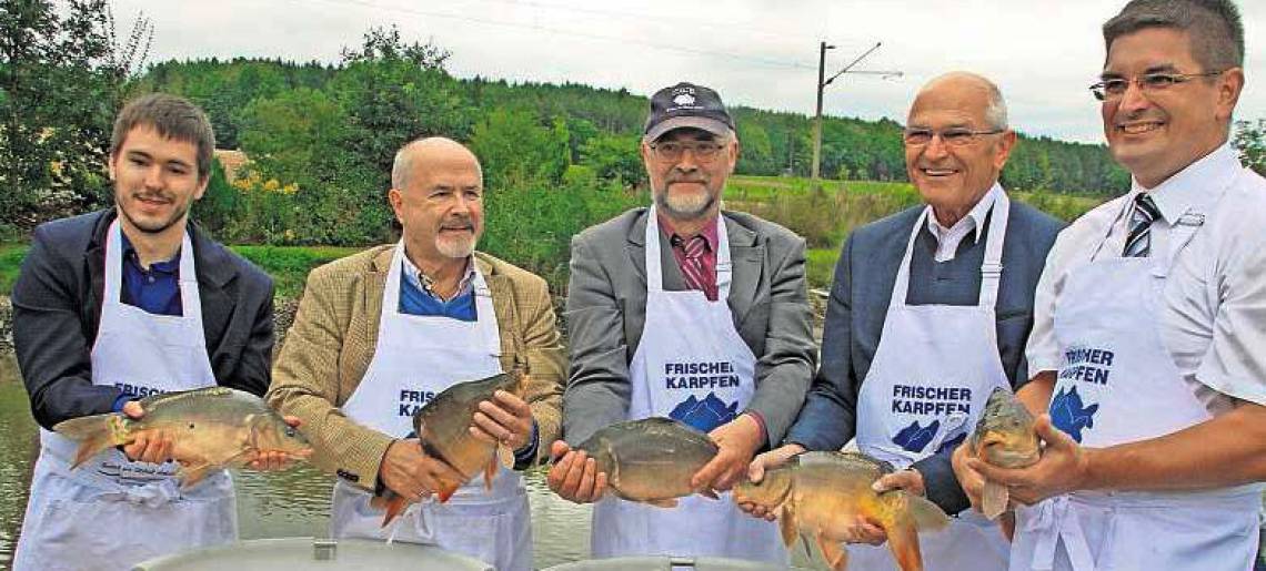Karpfen statt Scampi: Karpfen 070440e4