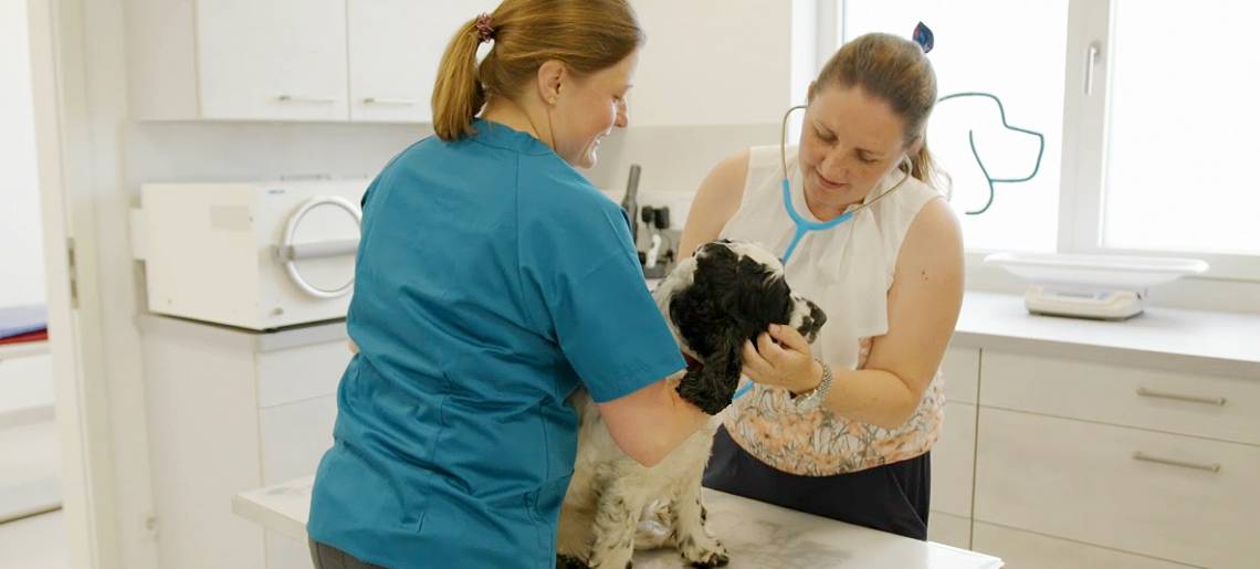 Praxis für Vierbeiner: Uebelhack Talk Cc92dc34