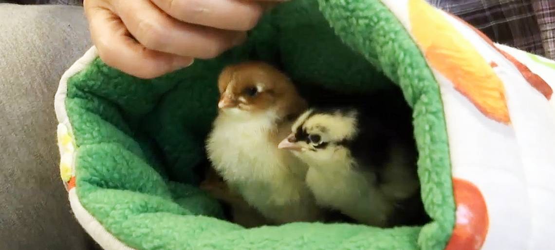 Wir schonen Ressourcen: Umwelt Clip 890ea5af